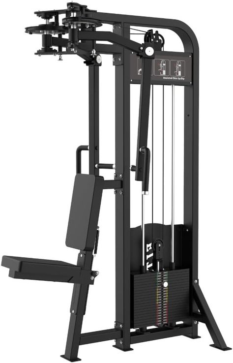 SFE - Selectorized PEC Fly/Rear Delt Machine, PEC Deck with... Pec Fly Machine, Chest Fly Machine, Pec Fly, Pec Deck, Chest Fly, Rear Delt, Weight Bench, Weight Benches, Home Gym