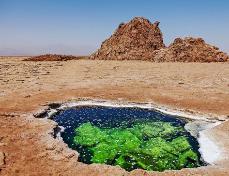 Underwater Photos, Underwater Photography, Vintage Photographs, Tourist Destinations, Nature Travel, Volcano, Natural Wonders, Ethiopia, Art And Architecture