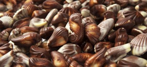 Guylian Chocolate, Seashell Chocolates, Chocolate Seashells, Shell Chocolate, Online Chocolate, Pure Cocoa Butter, Hazelnut Praline, Famous Chocolate, Instagram Contest