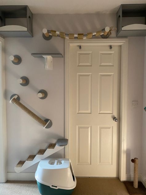 Small Cat Area Ideas, Cat Section In Room, Kitten Area In Bedroom, Diy Cat Room Small Spaces, Kitten Play Area, Cat Corner In Bedroom, Inside Cat Ideas Spaces, Cat Friendly Room Decor, Cat Loft Ideas