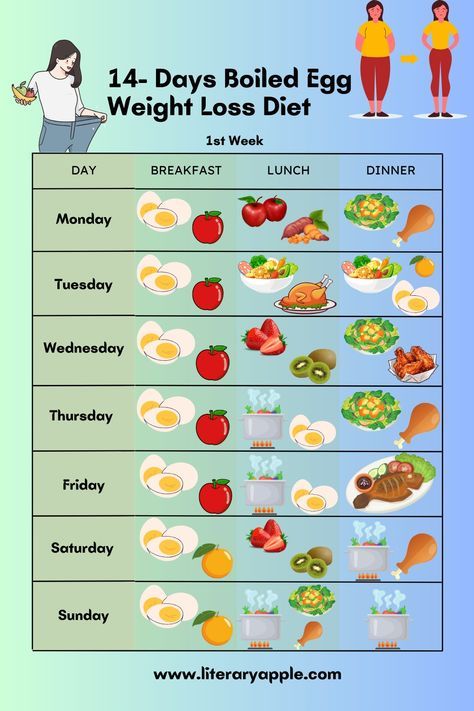 Healthiest Diet, Dinners Under 500 Calories, Egg Diet Plan, Boiled Egg Diet Plan, Boiled Egg Diet, Egg Diet, Makanan Diet, Boiled Egg, Healthy Meal Plans