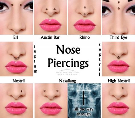 Everything You Need To Know About Piercings Body Piercing Chart, Different Nose Piercings, Piercing No Rosto, Kawaii Piercings, Astro Projection, Types Of Nose, Piercing Facial, Septum Nose Piercing, Ear Piercings Chart