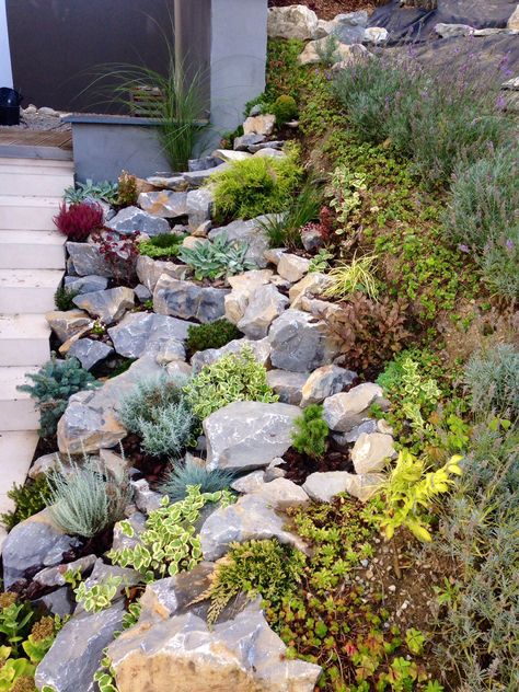 Rockery Garden, Garden Front Of House, Moderne Have, Funny Vine, Succulent Landscape Design, Landscaping Retaining Walls, Succulent Landscaping, Rock Garden Design, Japan Garden