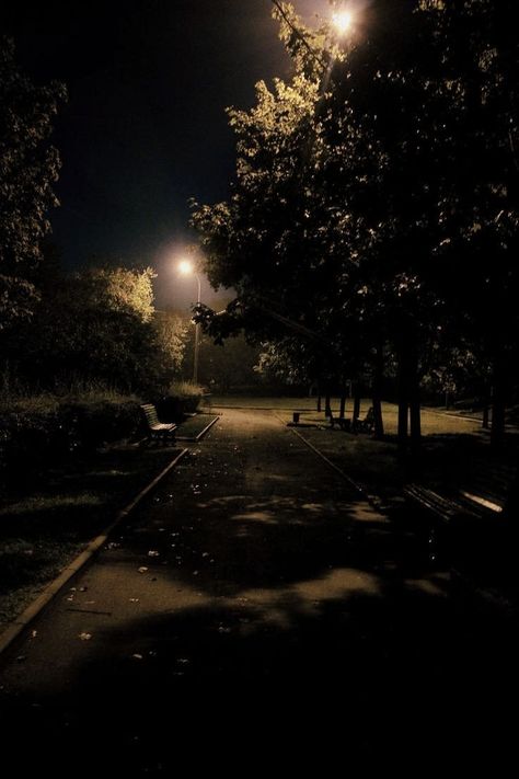 Street At Night, Dark Paradise, Street Lights, Night Scenery, Dark Photography, Night City, Night Aesthetic, Nature Aesthetic, Sky Aesthetic