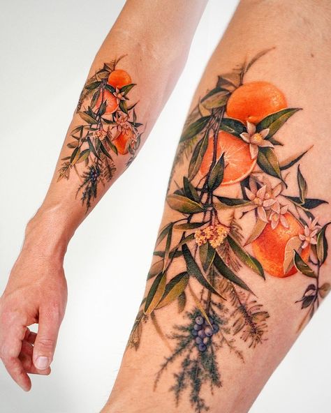 Seulki Park | Abii’s arm sleeve tattoos💪🏻✨ @vismstudio @abii_tattoo #armtattoo #armsleeve #armsleevetattoo #botanicaltattoo #losangelestattoo… | Instagram Orange Branch Tattoo, Tree Branch Tattoo, Tree Tattoo Back, Los Angeles Tattoo, Bay Laurel, La Tattoo, Branch Tattoo, Floral Tattoo Sleeve, Botanical Tattoo