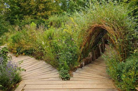 A backyard can be elevated with a living willow arbor or tunnel. A unique garden focal point is an enchanting alternative to traditional pergolas. Planting and training willow branches to form the arbor not only adds a touch of whimsical elegance to your outdoor space but also offers a sustainable and living element to your backyard design. As the willow branches grow and intertwine, they create a charming, natural canopy, providing both shade and an inviting pathway for a picturesque garden Living Willow, Willow Garden, Sensory Garden, Garden Arbor, Children's Garden, Plants And Flowers, Natural Garden, Garden Structures, Gardening For Kids