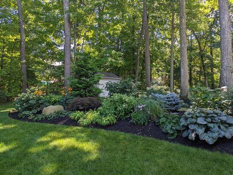 Landscaping Along Tree Line, Backyard Tree Landscaping Ideas, Front Yard Landscaping Natural, Berm Flower Beds, Shady Backyard Landscaping Designs, Wooded Landscaping Front Yard, Natural Areas Landscaping, Wooded Landscape Ideas Front Yards, Berm Along Fence