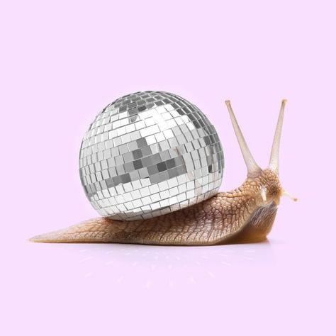 Spotify For Artists, Sushi Pizza, Paul Fuentes, Mirror Ball, Disco Balls, Creative Photos, Disco Ball, Surreal Art, 귀여운 동물