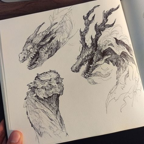 Sketch Book Ideas, Violet Sorrengail, Dragon Heads, Dragon Sketch, Creature Artwork, Creature Drawings, Monster Concept Art, My Sketchbook, Fantasy Creatures Art