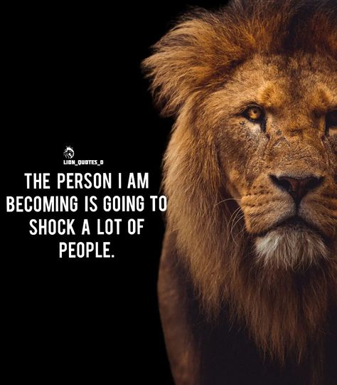 Lion Memes Motivation, Lion Quotes Inspiration Motivation, Lion Motivation Quotes, Never Underestimate Quotes, Lion Mindset, Motivational Quotes For Success Business, Lion Mentality, Underestimate Quotes, Lion Memes