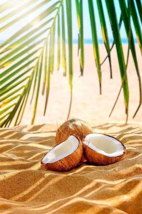 Coconut Pictures, Pink Sand Beach Bahamas, Coconut Background, Aesthetic Summer Vibes, Beach Coconut, Phone Wallpaper Boho, Beautiful Scenery Photography, Minimalist Photos, Wallpapers Quotes