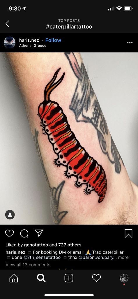 Traditional Bugs Tattoo, Traditional Bug Tattoo Old School, American Traditional Insects, Caterpillar Tattoo Design, Caterpillar Tattoo Traditional, American Traditional Caterpillar Tattoo, Neo Trad Bug Tattoo, Color Bug Tattoo, American Traditional Insect Tattoo