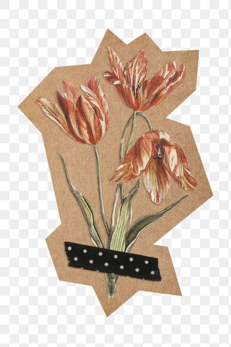 Tulip Flowers Png, Brown Scrapbook, Tape Png, Scrapbook Png, Cut Out Pictures, Collage Pieces, Garbage Collection, Flower Cut Out, 2024 Wishlist