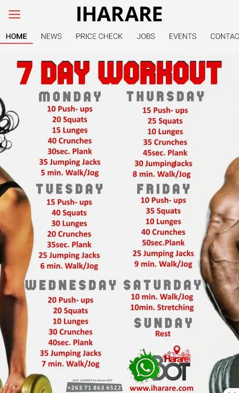 Day Workout Plan, 7 Day Workout Plan, Everyday Workouts, 7 Day Workout, Hey Brother, Beginner Workouts, Gym Workout Program, Workout Routine For Men, Weekly Workout Plans