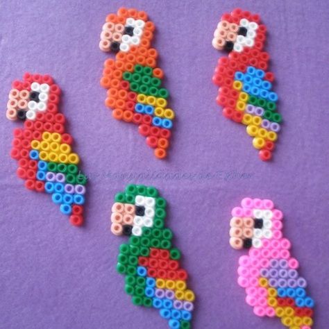 Parrots hama beads by kecosikas: Tropical Perler Bead Patterns, Perler Bead Decorations, Embroidery Parrot, Perler Beads Ideas, Hamma Beads Ideas, Easy Perler Bead Patterns, Melty Bead Patterns, Pixel Beads, Pearl Beads Pattern