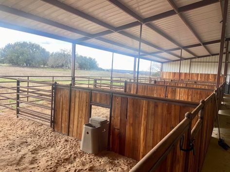 Equestrian Facility Layout, Dream Barn Stables, Barn Stalls, Horse Barn Ideas Stables, Horse Barn Designs, Riding Arenas, Horse Barn Plans, Equestrian Facilities, Horse Stalls