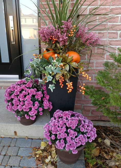 Fall Potted Plants, Ornamental Peppers, Shade Plants Container, Full Sun Container Plants, Fall Container Plants, Front Yards Diy, Fall Pots, Fall Container Gardens, Pumpkin Planter