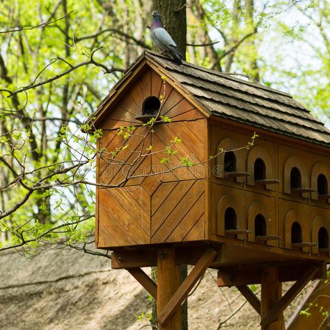 Photo about Wooden pigeon house, one pigeon on top. Image of loft, birdhouse, countrified - 53436658 Pigeon House Ideas, Bar Furniture Design, Luxe Home Decor, Pigeon Cage, Pigeon House, Large Bird Houses, Extravagant Homes, Bird Tables, Luxe Home