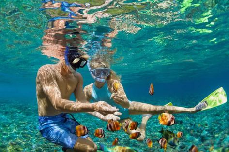 Best Resorts In Maldives, Fish Pool, Scuba Diving Mask, Swimming Goggles Kids, Crystal Bay, Swimming Kit, Best Snorkeling, Coral Garden, Gili Trawangan