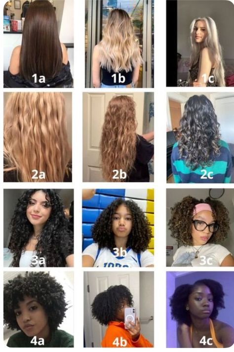 Different Hair Types Chart, Type Of Hair Texture Chart, Different Curly Hair Types, Type 3b Curly Hair, 3b Curly Hair Products, Different Types Of Curly Hair, How To Cut Curly Hair, Hair Texture Chart, Hair Type Chart