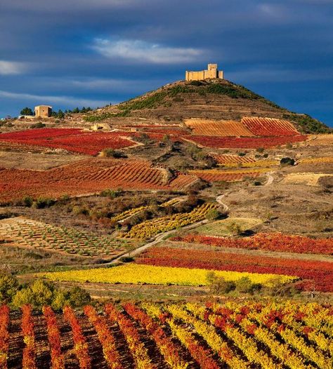 Autumn in La Rioja Spain, Best Places to Travel in the Fall, La Rioja Spain, rioja spain, rioja wine, rioja region, artmotivator, артмотиватор, travel in fall, fall travel, places for fall travel, fall vacations, travel destinations, most romantic places, quotes about wine, autumn aesthetic, fall aesthetic, spanish rioja, rioja wine region, rioja winery, wine tasting in rioja, best places to visit in spain, spain places to visit, northern spain, rioja vineyards, spanish holidays Rioja Wine, Rioja Spain, San Bartolome, Northern Spain, Voyage Europe, Basque Country, Visit Europe, A Castle, Beautiful Villages