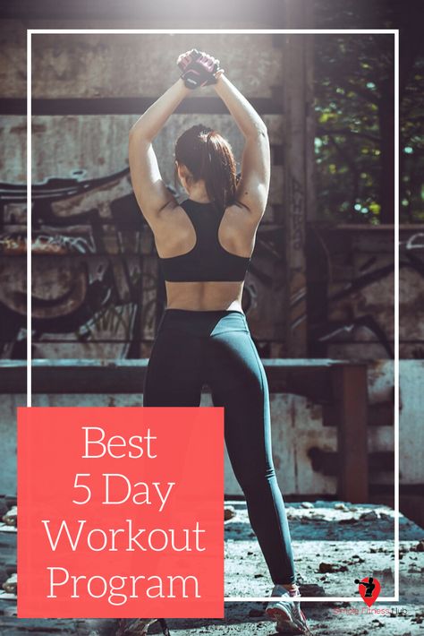 6 Day Workout Split Women, 5 Day Split Workout, 5 Day Split, Best Workout Split, 5 Day Workout Split, 5 Day Workout Plan, Weekly Gym Workouts, Gym Workouts For Women, Split Workout