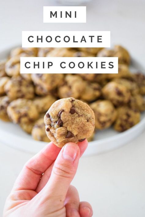 The Best Ever Mini Chocolate Chip Cookies are perfect for parties and get togethers! These tiny chocolate chip cookies are just as delicious as the big ones but these are the minis! They are dense, satisfying and perfect for sharing! Mini Cookie Recipe, Resepi Biskut, Mini Chocolate Chip Cookies, Make Chocolate Chip Cookies, Chocolate Chip Cookies Ingredients, Mini Chips, Soft Chocolate Chip Cookies, Choc Chip Cookies, Chips Recipe