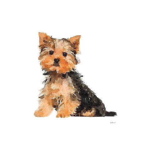 Yorkie Poster Print by Amanda Greenwood-VARPDXAGD116458 Image 1 Yorkie Art Prints, Yorkie Aesthetic, Yorkie Doodle, Yorkie Illustration, Yorkie Painting, Yorkie Art, Watercolor Dogs, Yorkie Poo, Drawing Wallpaper