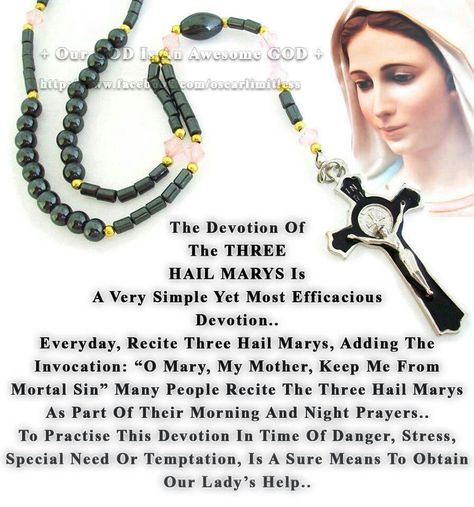 Devotion of 3 Hail Marys 3 Hail Mary Novena, Hail Mary In Spanish, Mother Mary Rosary, Catholic Beliefs, Novena Prayers, Daily 3, Everyday Prayers, Mary Catholic, Mama Mary