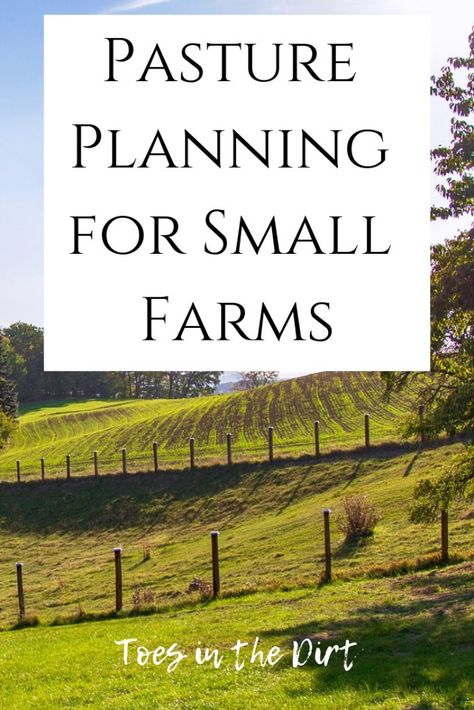 Small Farms, Farm Plans, Homestead Farm, Farm Layout, Future Farms, Cattle Farming, Mini Farm, Goat Farming, Backyard Farming