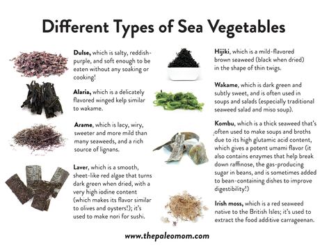 The Health Benefits of Sea Vegetables ~ The Paleo Mom Sea Vegetables Recipes, The Paleo Mom, Menstrual Phase, Edible Seaweed, Growing Sprouts, Vegetable Diet, Paleo Mom, Low Estrogen Symptoms, Food Fish