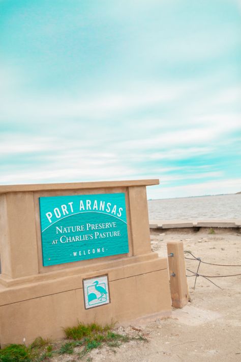 Top Things to do in Port Aransas - My Curly Adventures Port Aransas Beach, Port Aransas Texas, Texas Beaches, Texas Travel, Nature Preserve, Aesthetic Tumblr, Road Trippin, Beach Please, Beach Getaways