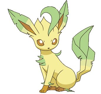 Leafeon Flareon Pokemon, Pokemon Quiz, Pokemon Wiki, Pokemon Platinum, Popular Pokemon, Pokemon Tattoo, Pokemon Eeveelutions, Eevee Evolutions, Pokemon Pokedex