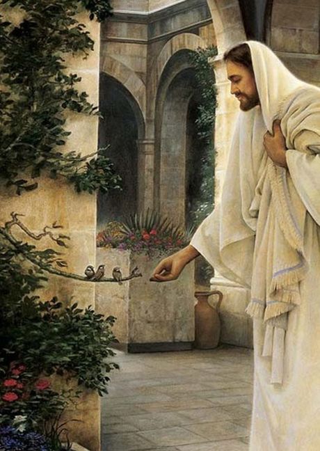 Greg Olsen Painting ~ In His Constant Care~ Dear Most Loving Heart of Jesus, please bring Donna health in body mind and spirit. Amen Greg Olsen Art, Greg Olsen, Quotes Jesus, Jesus Our Savior, Bird Quotes, Pictures Of Christ, Lds Art, Loving Heart, Pictures Of Jesus Christ