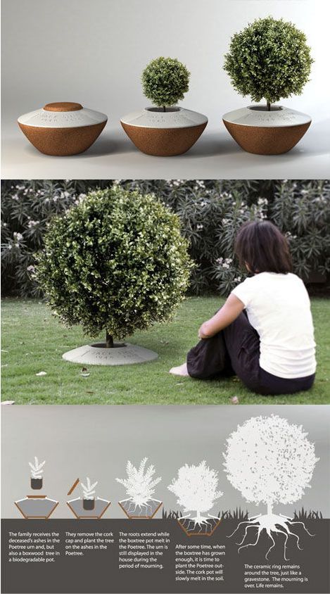 The Poetree - A Funeral Urn That Lets You Plant A Tree From Ashes. What a beautiful, eco friendly tribute! A memorial tree planter with ceramic ring marker. Tree Planters, Memorial Ideas, Memory Tree, When I Die, Memorial Garden, After Life, Tree Hugger, Memorial Service, Cremation Urns