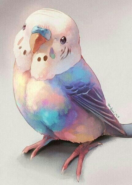 수채화 그림, Arte Sketchbook, Dessin Adorable, Bird Drawings, Bird Illustration, 판타지 아트, Pastel Drawing, Cute Birds, Cute Animal Drawings