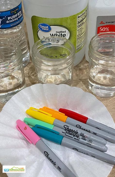 Dry Erase Marker Water Experiment, Invisible Ink Science Experiment, Volcano Science Projects, Balloon Science Experiments, Dark Science, Milk Science Experiment, Science Fair Experiments, Water Science Experiments, Christmas Science Experiments