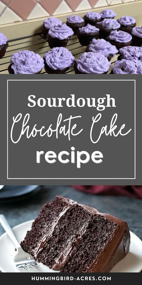 Sourdough Chocolate Cake Recipe, Sourdough Chocolate Cake, Matilda Cake, Best Chocolate Cupcakes, Sourdough Starter Discard Recipe, Easy Sourdough, Sourdough Starter Recipe, Cupcake Recipes Chocolate, Chocolate Bread