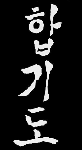 Hapkido: HAP=harmony, KI=body and mind coordination, DO=the way. http://www.ilovemartialartsgeorgia.com/index.php Karate Tattoos, Asian Calligraphy, Korean Martial Arts, Traditional Martial Arts, Jiu Jitsu Training, Double Dragon, Hapkido, Warrior Spirit, Martial Artists