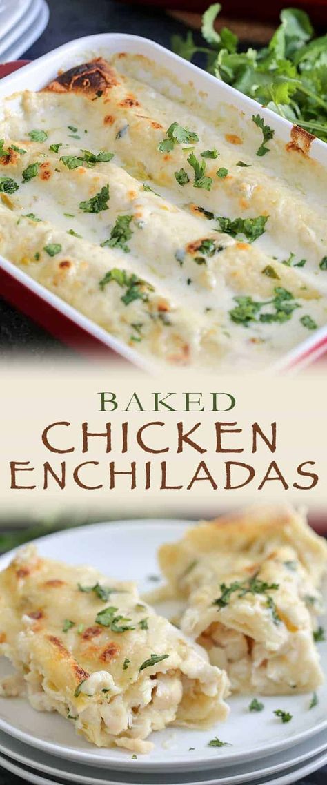 Best Chicken Enchilada Recipe, Creamy Chicken Enchiladas Recipe, Creamy Enchilada, Enchiladas Chicken, Chicken Enchilada Bake, Banana Split Dessert, White Chicken Enchiladas, Creamy Chicken Enchiladas, Chicken Enchiladas Easy