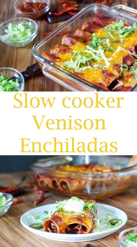 Enchiladas are made with carnitas that are slow cooked to tender perfection and authentic red enchilada sauce! #venisonenchiladas #venisoncarnitas #venisonrecipes #mexicanrecipes #enchilada #cincodemayo #Mexicancuisine #binkysculinarycarnival Venison Enchiladas, Authentic Red Enchilada Sauce, Mexican Food Recipes Enchiladas, Slow Cooker Venison, Wild Recipes, Venison Roast, Mexican Chicken Recipes, Red Enchilada Sauce, Venison Recipes