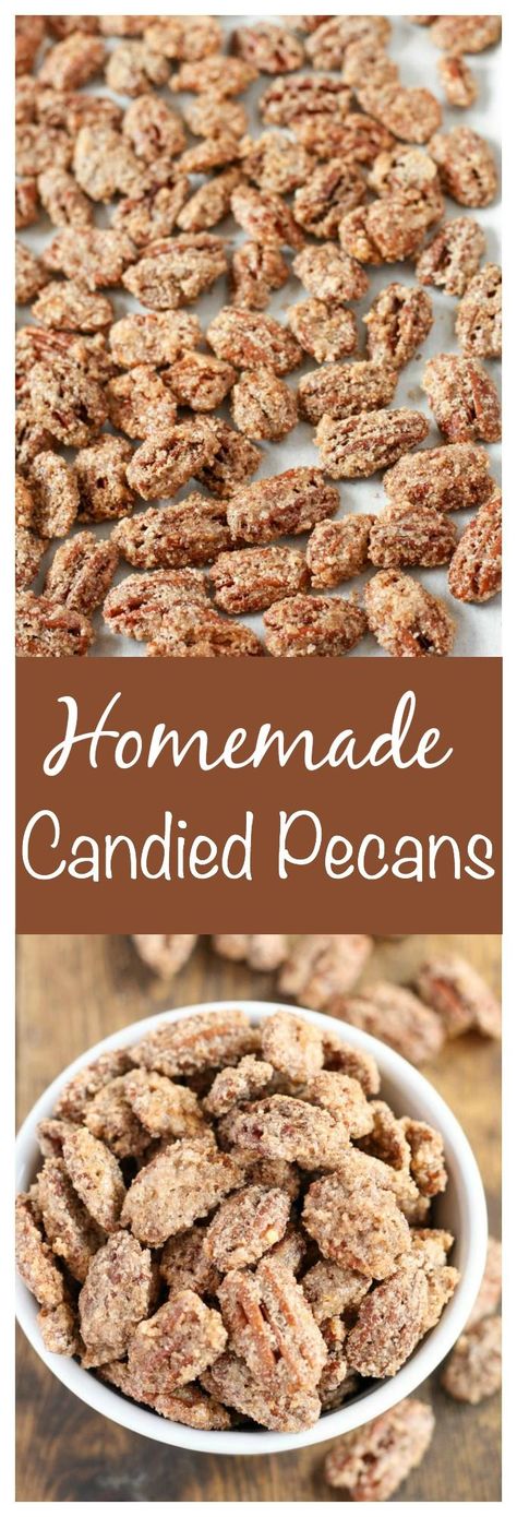 These candied pecans are easy to make and a perfect sweet snack or gift for friends and family! Holiday Desert Thanksgiving, Thanksgiving Baked Goods Gifts, Thanksgiving Treats To Sell, Easy Holiday Treats Thanksgiving, Thanksgiving Dessert Tray Ideas, Snacks For Thanksgiving Day, Thanksgiving Dessert Appetizers, Quick And Easy Thanksgiving Dessert Recipes, Thanksgiving Finger Desserts