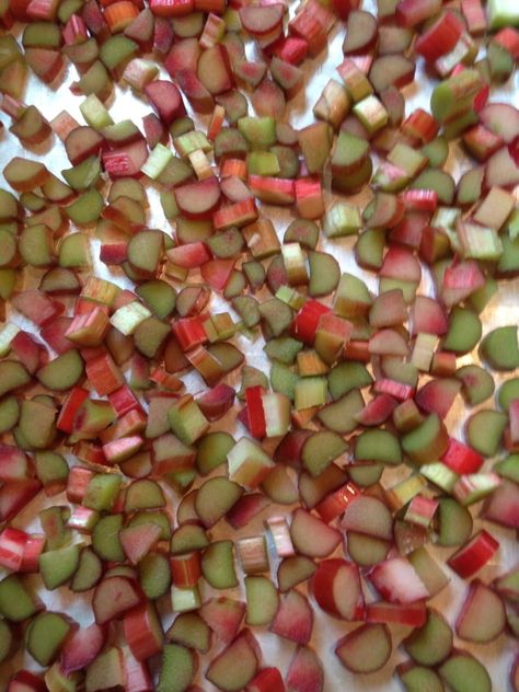 Frozen Rhubarb Recipes, Can You Freeze Rhubarb, Rhubarb Squares, Rhubarb Rhubarb, Rhubarb Cake Recipes, Freeze Rhubarb, Freezing Fruit, Freezing Vegetables, First Signs Of Spring