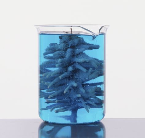 In this simple chemistry demonstration you'll grow a silver crystal tree. It's the perfect chemistry project for Christmas! Cool Chemical Reactions, Christmas Chemistry, Chemistry Christmas, Copper Christmas Tree, Chemistry Project, Chemistry Projects, Growing Crystals, Copper Christmas, Crystal Diy