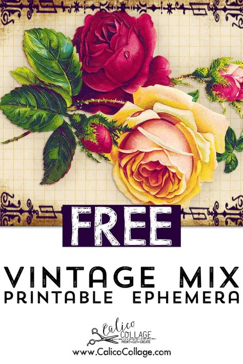 Free Vintage Mix Printable Ephemera Free Printable Vintage Recipes, Vintage Ephemera Printable, Vintage Labels Printables Free, Ephemera Journal, Vintage Labels Printables, Journal Printables Free, Christmas Fonts Free, Font Png, Fonts Canva