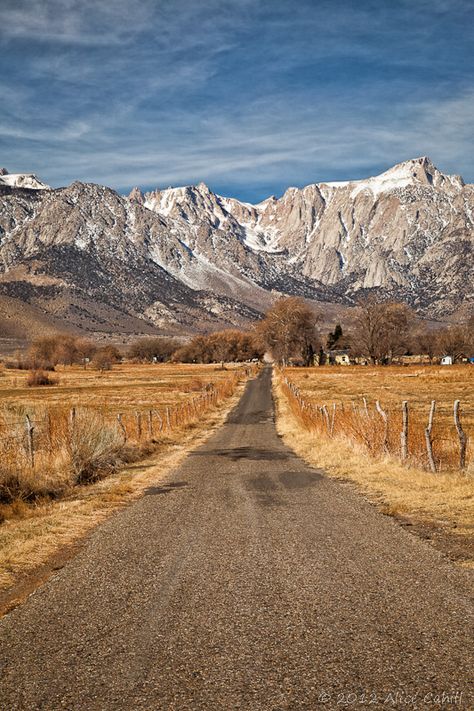 country road near Lone Pine | by alicecahill Lone Pine California, Buddha Garden, Go Usa, Lone Pine, Senior Project, Road Trippin, Sierra Nevada, Country Road, California Travel