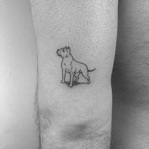 Fine line American Staffordshire terrier Turkey Tattoos, Dog Outline Tattoo, Tatoo Dog, Black And Grey Tattoos For Men, Black And Grey Tattoos Sleeve, Pitbull Tattoo, Pawprint Tattoo, Dog Outline, Minimal Tattoo Design