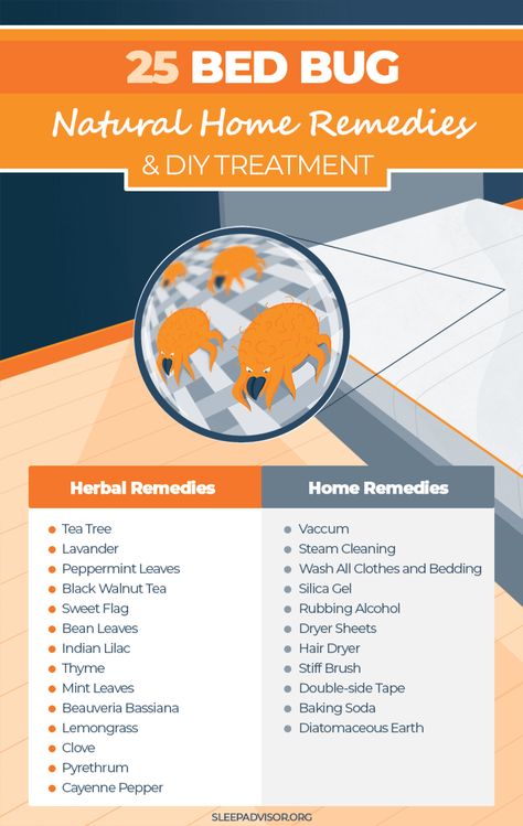 Homemade Bed Bug Remedies - How to Get Rid of Them Bed Bug Remedies, Get Rid Of Bed Bugs, Homemade Beds, Bed Bug Spray, Bug Spray Recipe, Blackhead Remover Diy, Kill Bed Bugs, Rid Of Bed Bugs, Bed Bug Bites