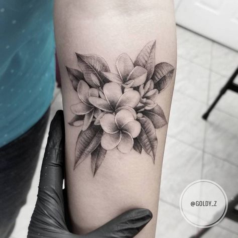 Plumeria flower is the Official Symbol of Laos. Fiori Frangipani, Plumeria Flower Tattoos, Frangipani Tattoo, Tropical Flower Tattoos, Plumeria Tattoo, Tropical Tattoo, Hawaii Tattoos, Hibiscus Tattoo, Tattoo Shirt