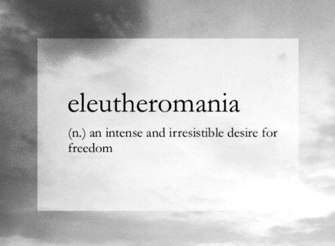 eleutheromania (n) an intense and irresistible desire for freedom #definition Freedom Definition, Beau Taplin Quotes, Freedom Aesthetic, Chaos Quotes, Stars Quotes, Purple Carrot, Freedom Quotes, Classroom Quotes, Star Quotes